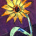 Daisy on Dark Background