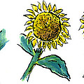 Sunflowers Trio